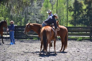 Jake stepping on a horse for its first ride with Pat Parelli coaching.